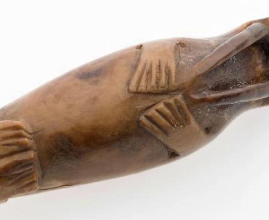 Walrus carving from medieval Trondheim. Viking colonies in Greenland relied on walrus ivory for trade. Source: Credit: Åge Hojem NTNU University Museum