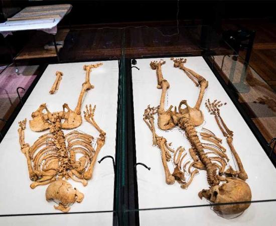 Study reunites Viking family members separated by the North Sea for 1000 years. 