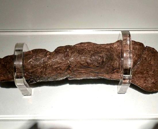 The world famous York Viking poop fossil or Lloyds Bank coprolite that is about 900 years old.	Source: Linda Spashett/ Wikimedia
