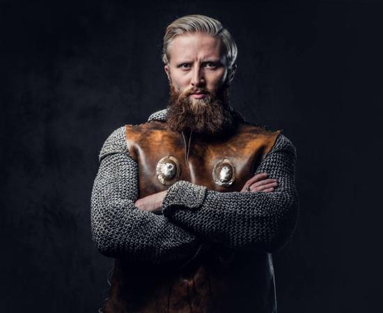 Viking Bjorn Ironside