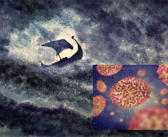 Researchers have discovered extinct strains of smallpox, an infectious disease also known as Variola, in the teeth of Viking skeletons proving the disease was around at least 1,400 years ago. Source: nobeastsofierce / Adobe Stock