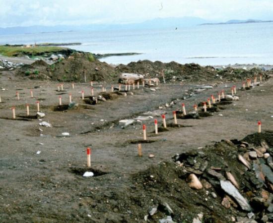 Pegs marking the post holes of two large boathouses on Rennesøy, north of Stavanger. 