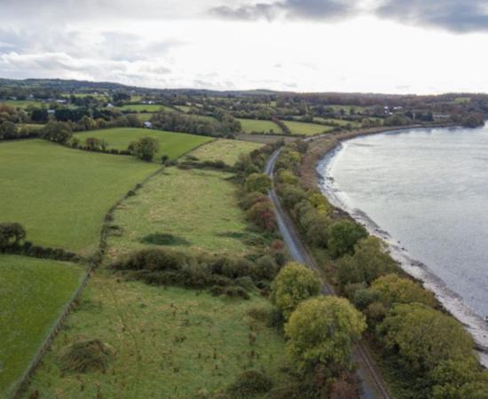 The site of the largest Viking settlement discovered in Ireland, by the River Suir near Waterford, Ireland.