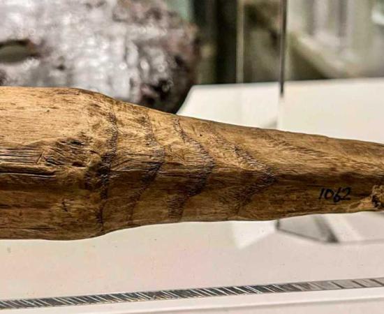 The wooden phallus discovered at Vindolanda exhibited smooth surfaces on both ends, suggesting that it had been subject to repeated handling over an extended period. Source: Newcastle University.