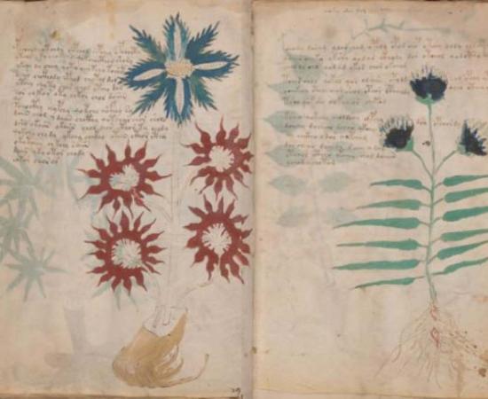 Two pages from the Voynich Manuscript. Has the Voynich Manuscript code finally been cracked? 