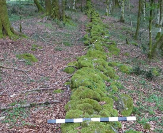 Wall purported to be used to contain Spartacus in Calabria, Italy	Source: Archaeological Institute of America