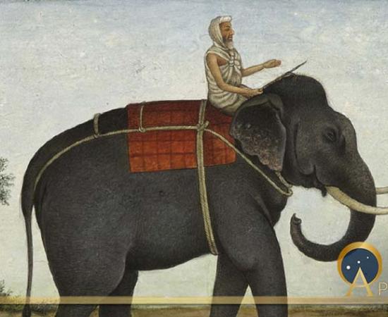The Mûmakil Elephant Slayers Of The Ancient World