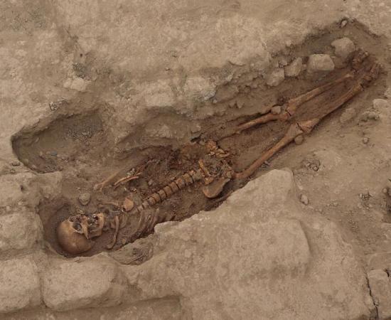 One of the skeletons discovered at Huaca Santa Rosa de Pucala which is helping rewrite the history of the Wari culture. Source: Museo Tumbas Reales de Sipán