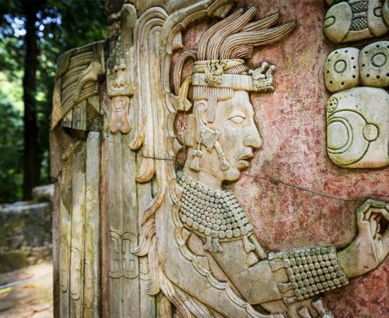 What happened to the Maya? This mysterious civilization dominated parts of Central America for over a 1000 years, but then, seemingly fell quite dramatically.     Source: PeekCC / Adobe stock