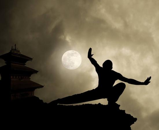 The White Lotus Society was a political, religious, and revolutionary movement that that rebelled against the government in imperial China.