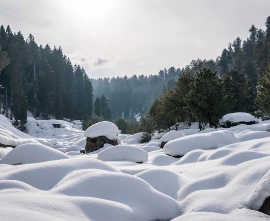 Remembering Winter in Kashmir: Shaping A Collective Memory of the Past