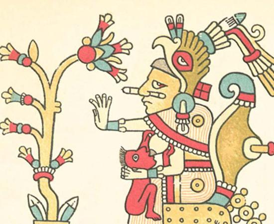 Xochiquetzal, with flower (Codex Fejérváry-Mayer, page 29) 