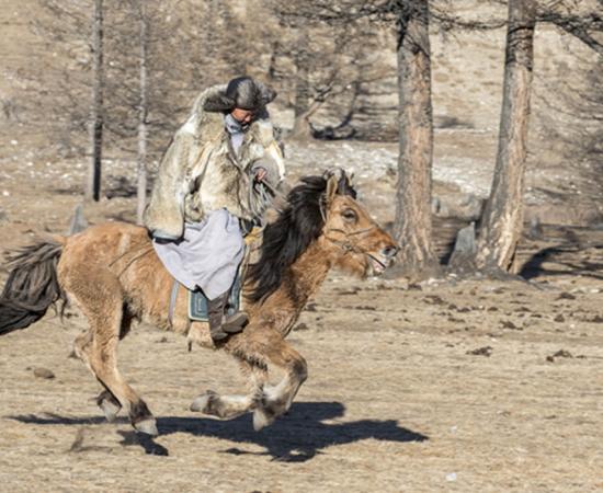 The Yamnaya came to Europe from modern-day western Russia or the Ukraine. Source: katiekk2 / Adobe Stock.