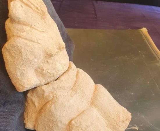 8,000-year-old Mother Goddess figurine excavated at Sha’ar HaGolan, Israel Source: Anna Eirikh-Rose / Jerusalem Post