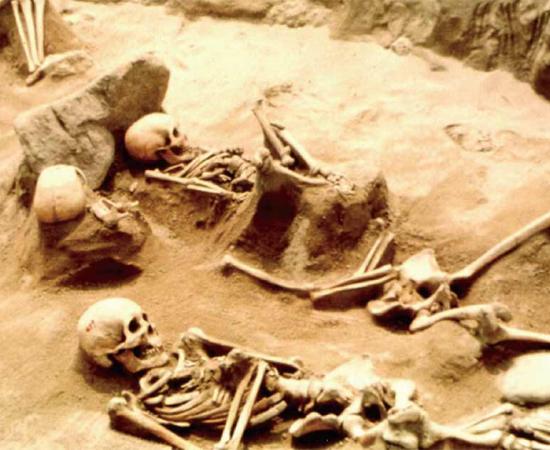 Study Reveals Extensive Hyper-Violence in Japan’s Ancient Yayoi Period