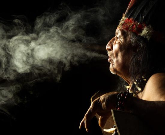 Are the Yumbo lost forever? Source: Ammit / Adobe Stock.