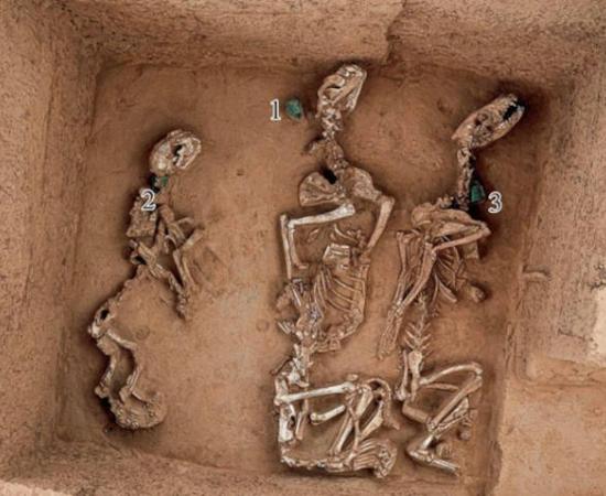 A sacrificial pit photo shows bronze bells marked among animal remains at Yinxu