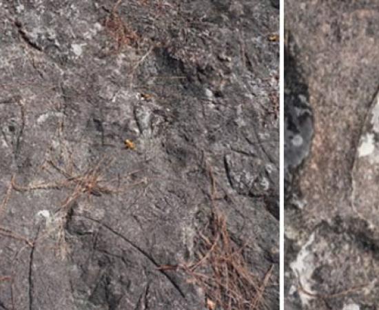 A collection of over 3,000 years old endangered prehistoric engravings Source: Author provided