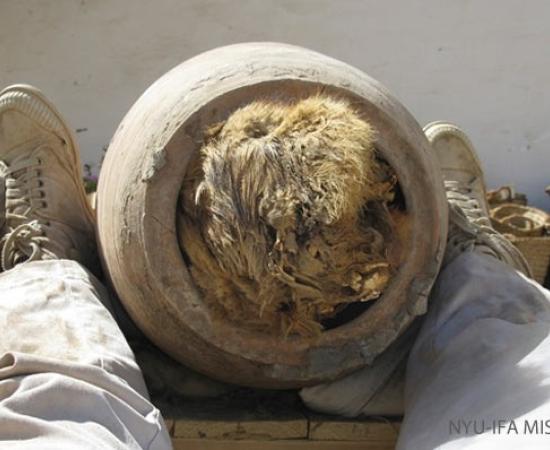 Abydos - Buried Dogs