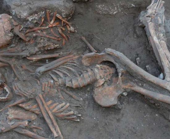 The skeletal remains of two elite brothers at Megiddo, the focus of this study. Source: Kalisher, R et al / PLoS ONE