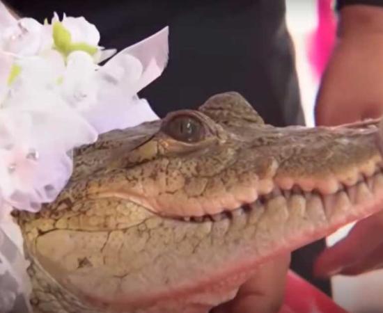 This alligator in San Pedro Huamelula, Oaxaca, Mexico is about to be “married” to the mayor! Source: YouTube screenshot / SCMP
