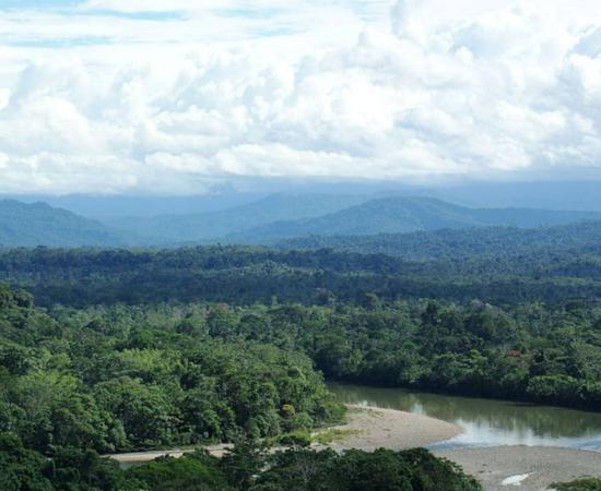 Ecuadorian Amazon rainforest, with the Andes visible in the background.