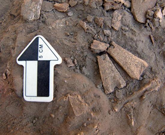 12,300-Year-Old Bone Pendants discovered in Alaska