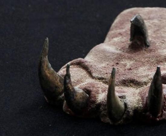 Ancient Moche tomb artifacts