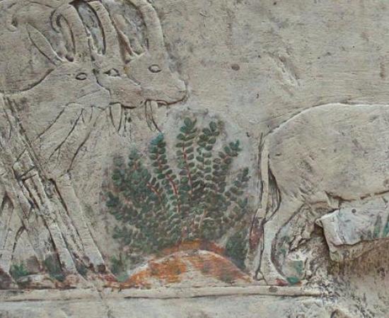 Ancient Artwork - Risk