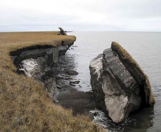 In this photo you can see a collapsed block of ice-rich permafrost along Drew Point, Alaska. Ancient diseases released from such rapid change pose a dire threat to 21st-century human populations.            Source: Benjamin Jones, U.S. Geological Survey / Public domain