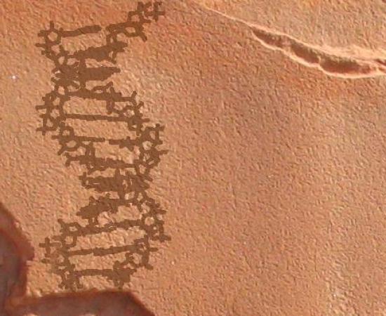 Ancient DNA - Human Exodus