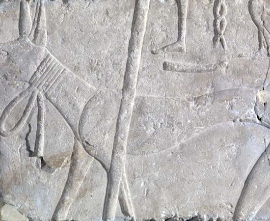 Dogs, Ancient and Modern: A Mythological History