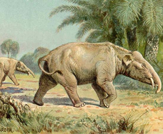 Ancient ecosystems were very different from those found today. Source: Heinrich Harder (1858-1935) / Public Domain