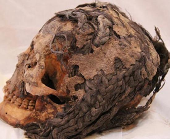 3,300-year-old Egyptian woman with hair extensions discovered in Armana
