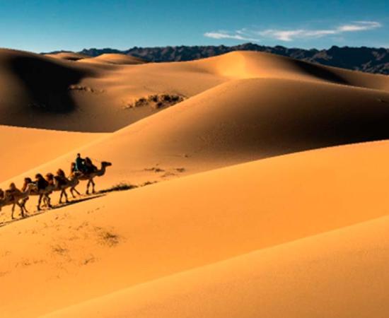 Xuazang crossed the Gobi Desert and through Central Asia. Source: peerasit/By Adobe Stock