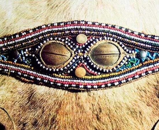 Long before the emergence of modern-day protective sun glasses, Siberian hunters were forced to find their own solution to the dazzling glare reflecting from the snow. 