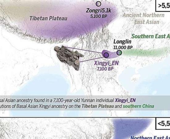 Population migration, replacement, and the preservation of deeply diverged ancestry in southern East Asia