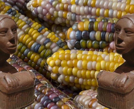 Cahokia figurine. (Public Domain) Background: Close up of colorful gem glass corn on cob. (Picture Partners) Cahokia was an ancient metropolis that grew as its people cultivated corn.