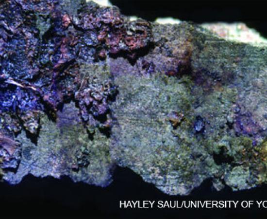 Prehistoric Humans Pots