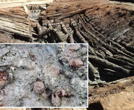 Best-Preserved Ancient Fruit Found in 4,000-Year-Old Burial Chamber