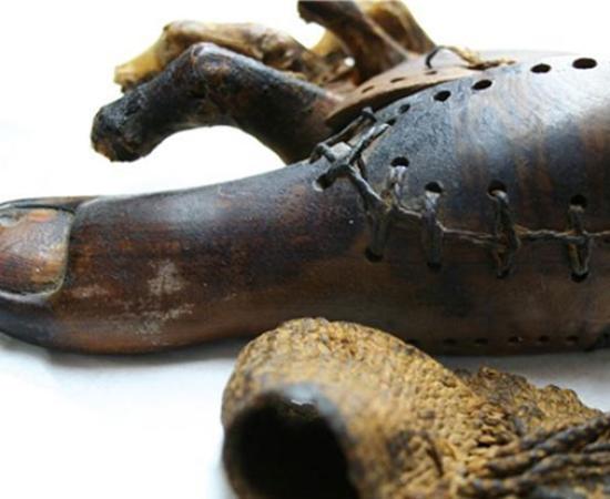 A 3,000-year-old prosthetic big toe unearthed in Egypt. Source: Jacky Finch / University of Manchester