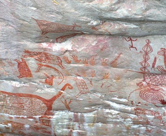 Ancient rock paintings spotted in remote Colombia