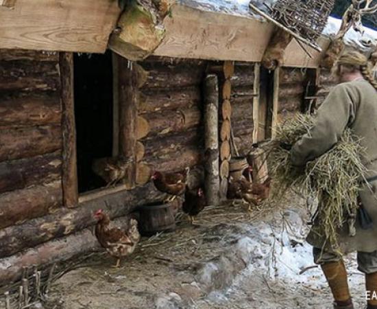 Ancient Russian Hermit