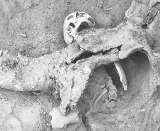 One of the skeletons believed to have died during an ancient poison gas attack