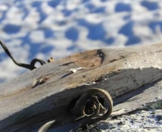 Ancient Ski discovered in Norway