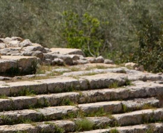 Ancient Town of Sebastia - Biblical