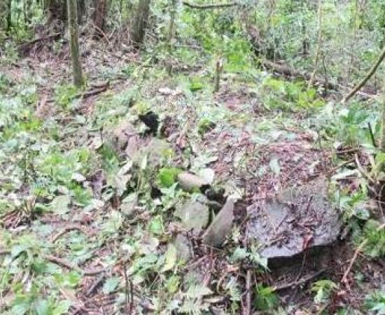 Legendary Ancient Villages in Fiji