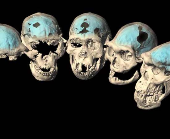 It Really Was a Planet of the Apes Two Million Years Ago