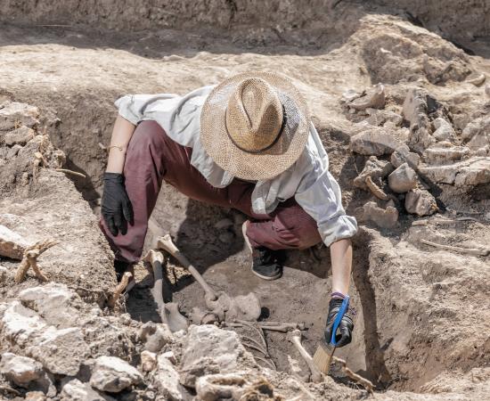 Archaeologist inspects skeleton