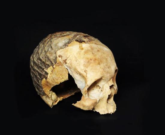 One of the skulls from the Nahal Hemar Cave. KEYWORD Source: Clara Amit / IAA